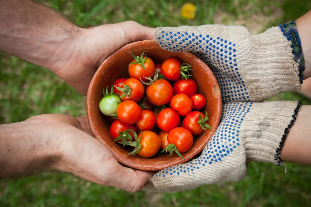 unsplash_qgHGDbbSNm8_organic food.webp