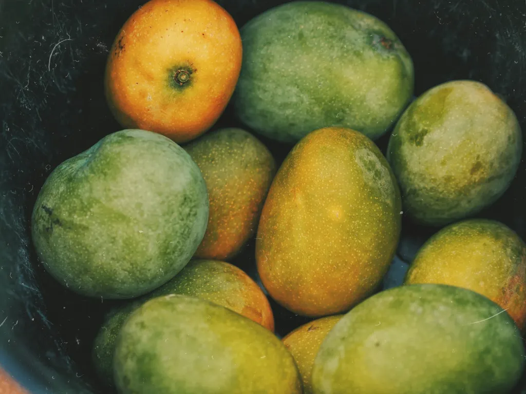 unsplash_fqe2qindz5I_bangladeshi mango.webp
