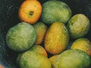 unsplash_fqe2qindz5I_bangladeshi mango.webp