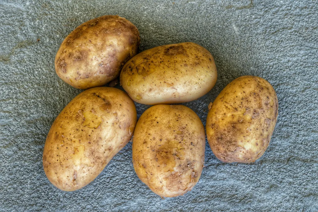 unsplash_Qbj0u6CDNRI_potato.webp