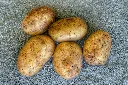unsplash_Qbj0u6CDNRI_potato.webp