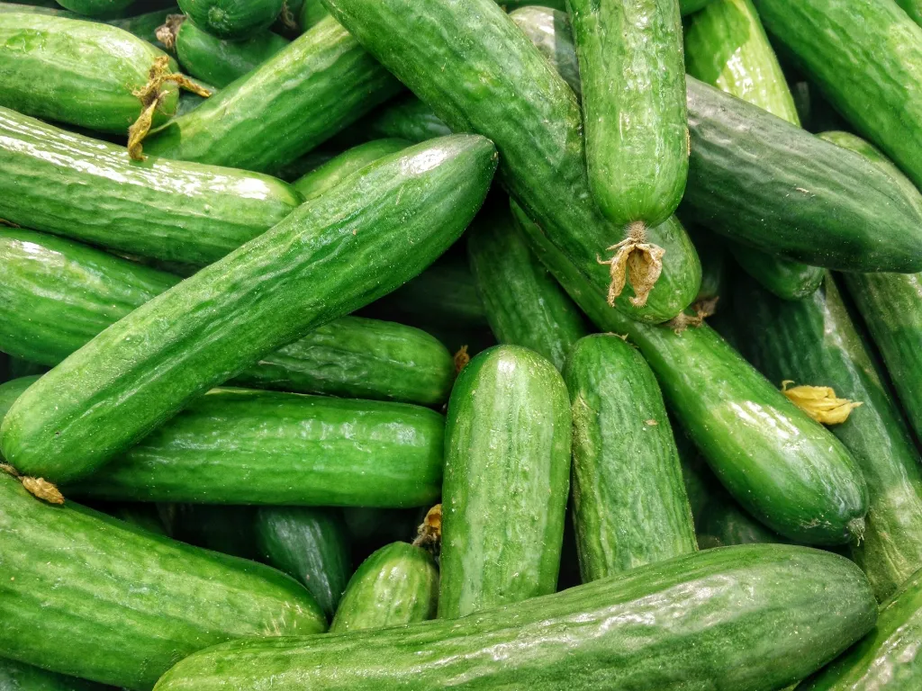 unsplash_2GiRcLP_jkI_bangladeshi cucumber.webp
