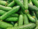 unsplash_2GiRcLP_jkI_bangladeshi cucumber.webp