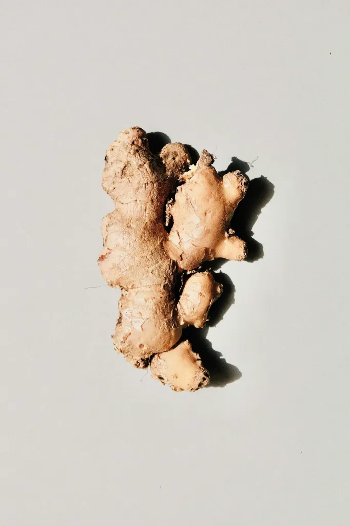 unsplash_trGaaSlz6d0_ginger.webp