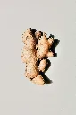 unsplash_trGaaSlz6d0_ginger.webp