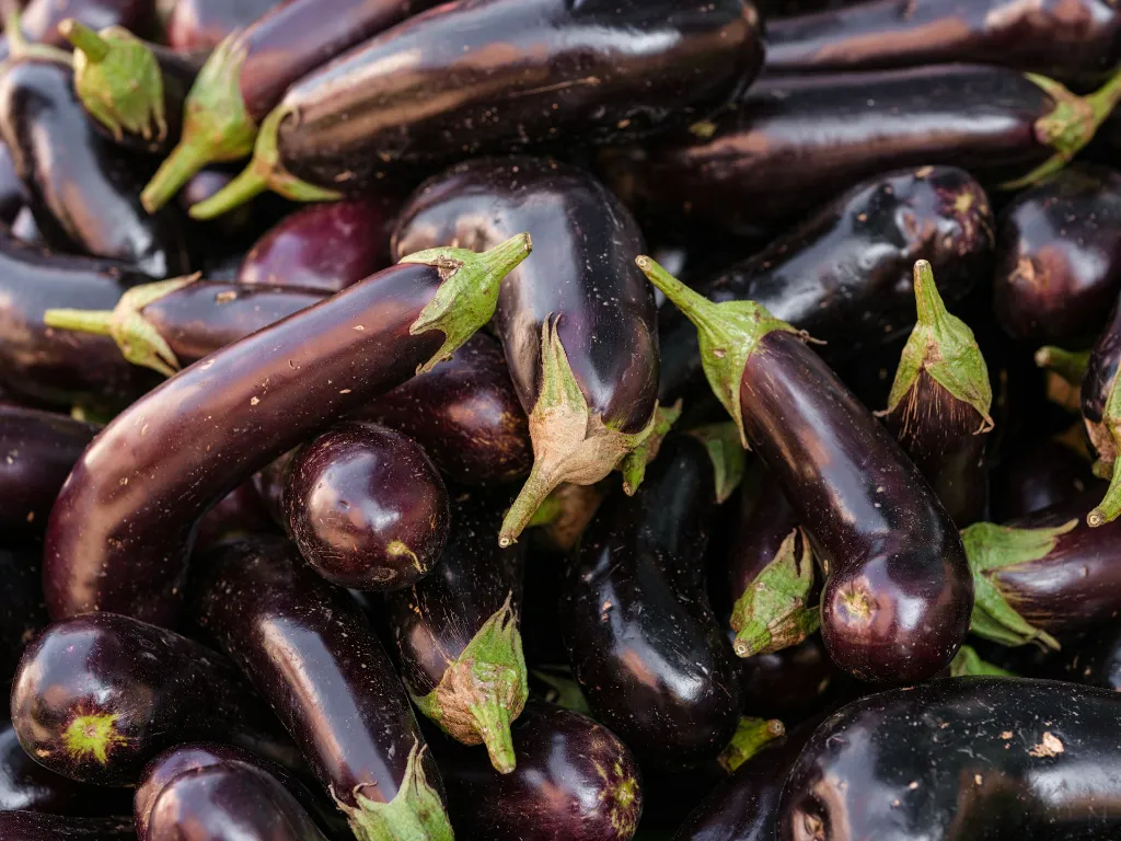 unsplash_C79d2y_t4Aw_Round Black Brinjal.webp