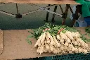 unsplash_SgLrBxw1RFc_Radish .webp