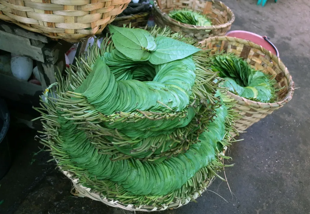 Betel Leaf (পান পাতা) / 20 pcs