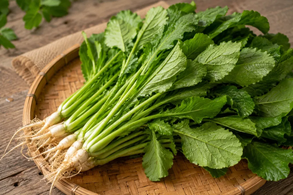 Radish Greens (মূলা শাক) / 1 Bundle