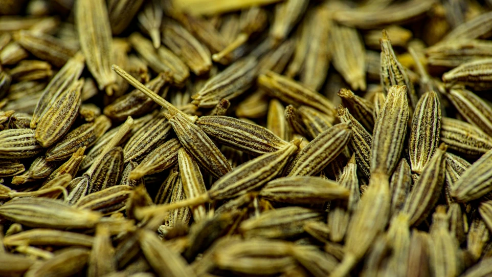 Whole Cumin Seeds  জিরা (আস্ত) 100gm