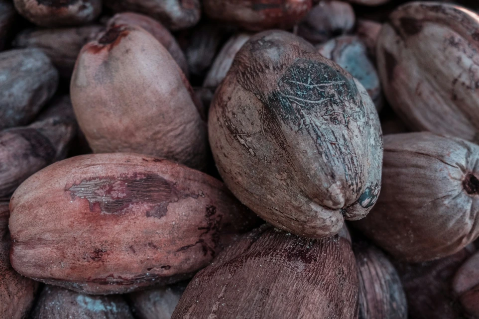 Grain Betel Nut (সুপারি) / 250gm