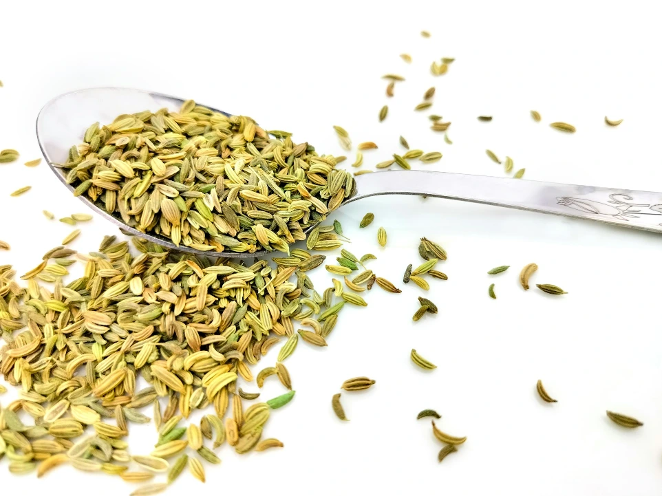 Grain Fennel Seeds (মৌরি) / 100gm