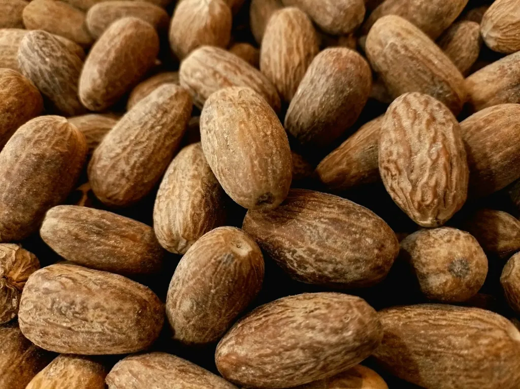 Grain Whole Nutmeg (জয়ফল) 5pcs