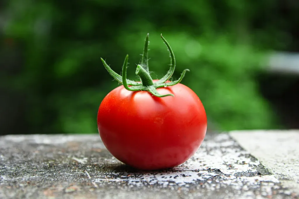 Red Tomato